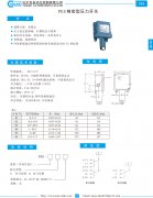 pes 精密型压力开关资料