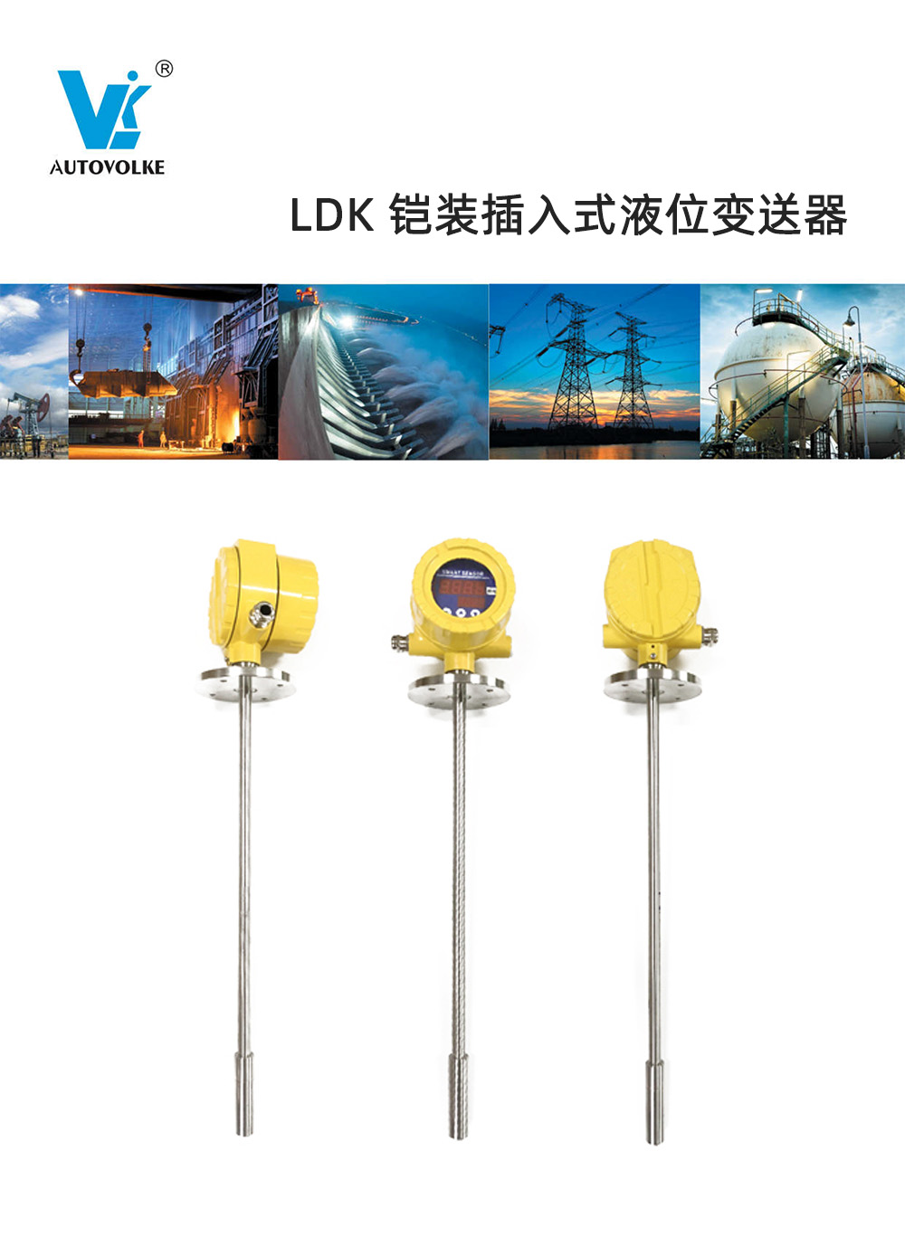 ldk 铠装插入式液位变送器