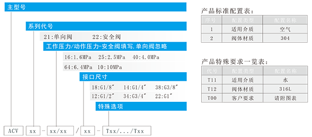 acv系列精巧型单向阀安全阀-1.png